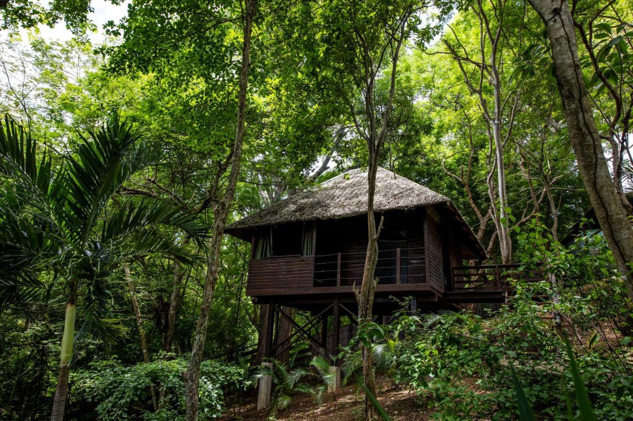 Buena Vista Surf Club Hotel Playa Maderas Ngoại thất bức ảnh
