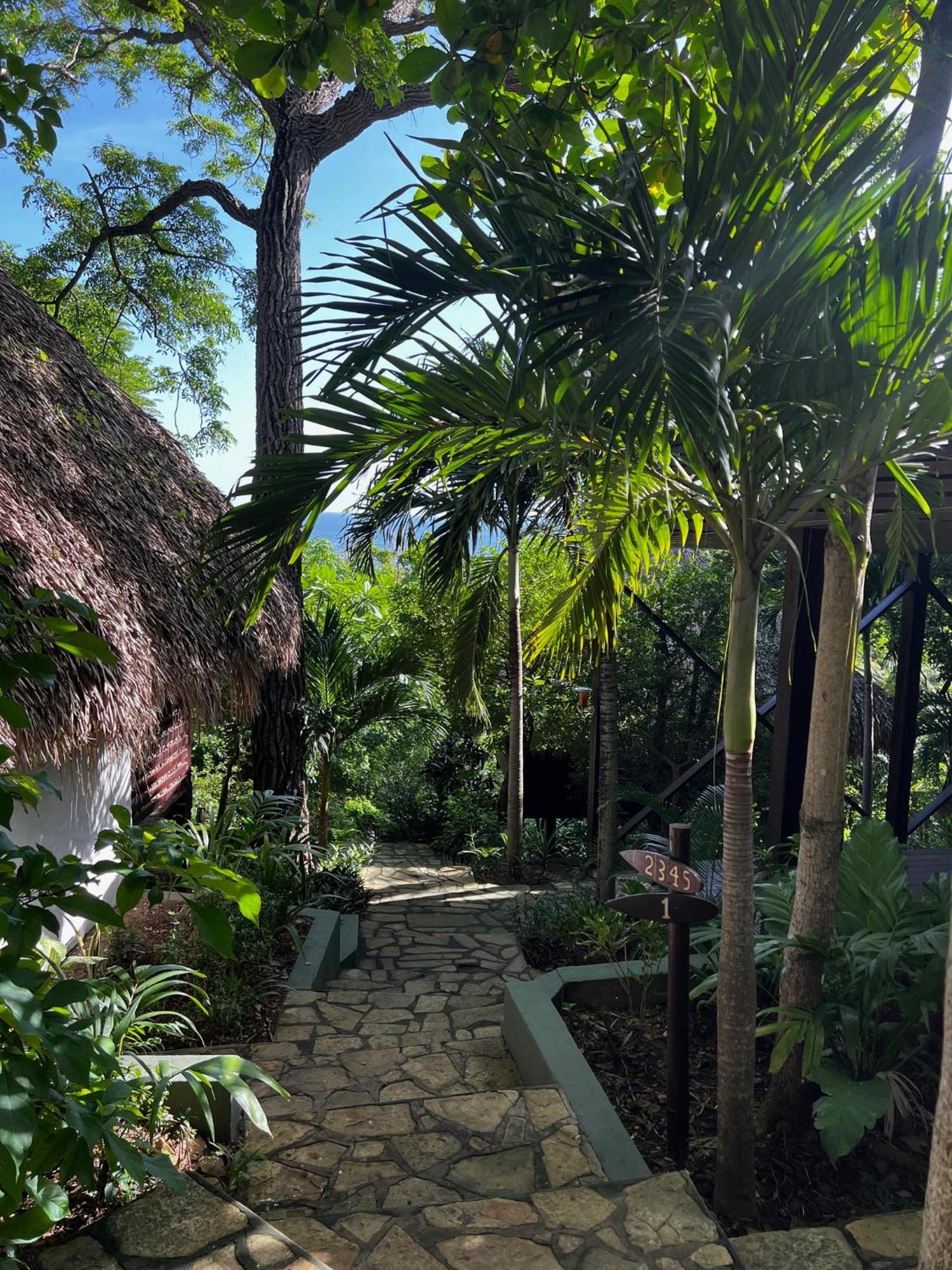 Buena Vista Surf Club Hotel Playa Maderas Ngoại thất bức ảnh